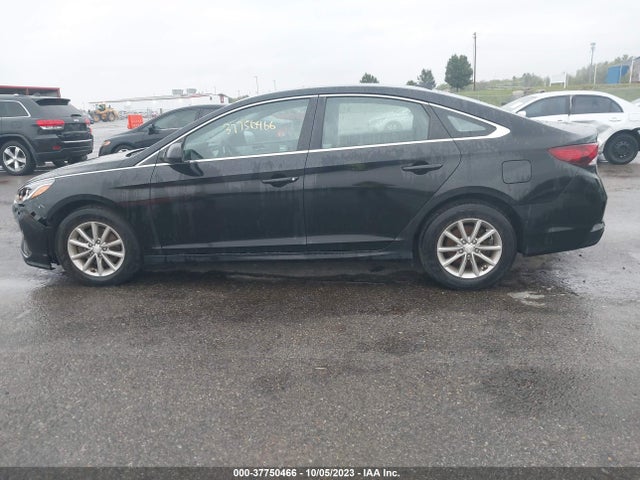 2019 HYUNDAI SONATA SE VIN: 5NPE24AF0KH763703