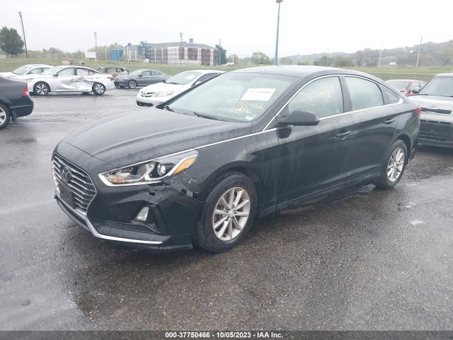 2019 HYUNDAI SONATA SE VIN: 5NPE24AF0KH763703