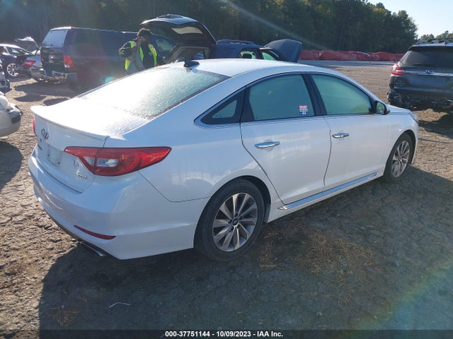2016 HYUNDAI SONATA 2.4L SPORT VIN: 5NPE34AF7GH418768