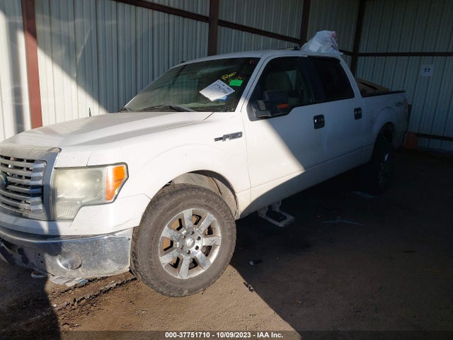 2010 FORD F-150 XL/XLT VIN: 1FTEW1E88AFB55466