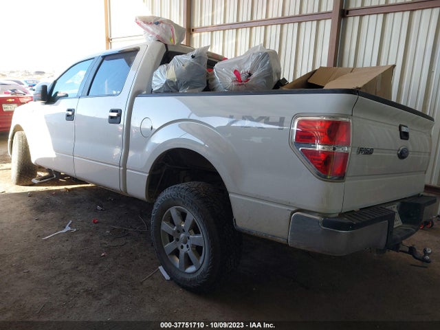 2010 FORD F-150 XL/XLT VIN: 1FTEW1E88AFB55466