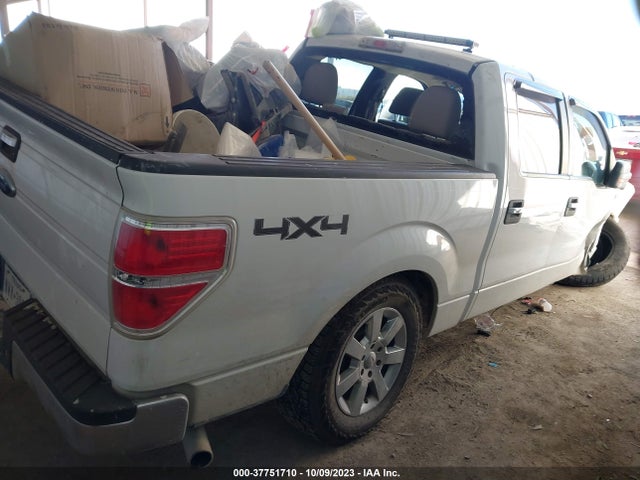 2010 FORD F-150 XL/XLT VIN: 1FTEW1E88AFB55466