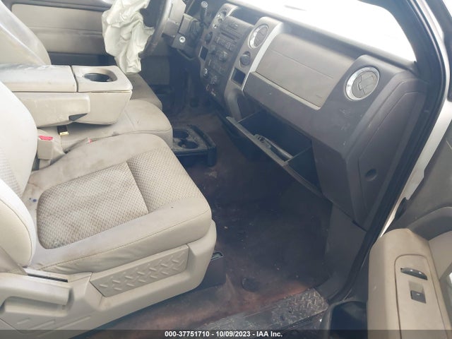 2010 FORD F-150 XL/XLT VIN: 1FTEW1E88AFB55466