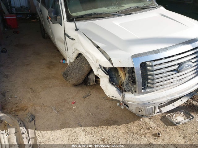 2010 FORD F-150 XL/XLT VIN: 1FTEW1E88AFB55466