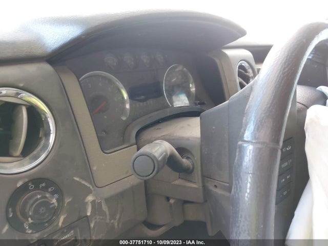 2010 FORD F-150 XL/XLT VIN: 1FTEW1E88AFB55466