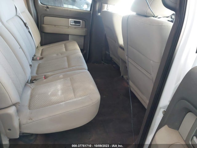 2010 FORD F-150 XL/XLT VIN: 1FTEW1E88AFB55466