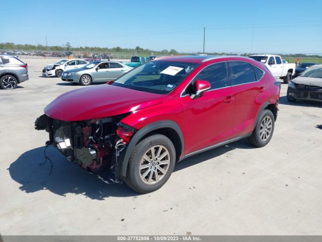 2021 LEXUS NX JTJDARBZ1M5031679 Photo 1