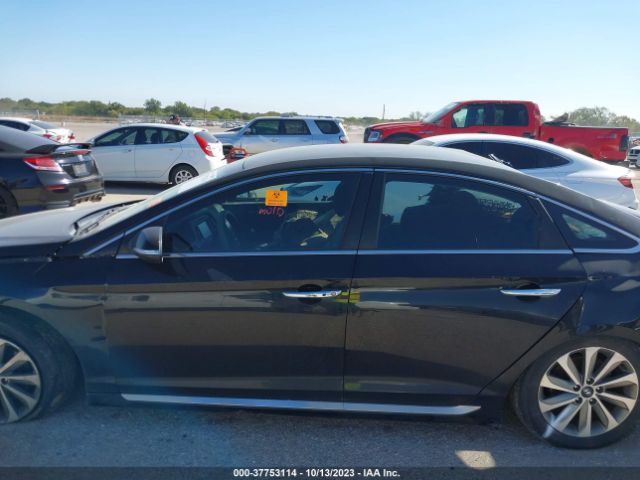 5NPE34AF8GH302236 Hyundai Sonata Sport