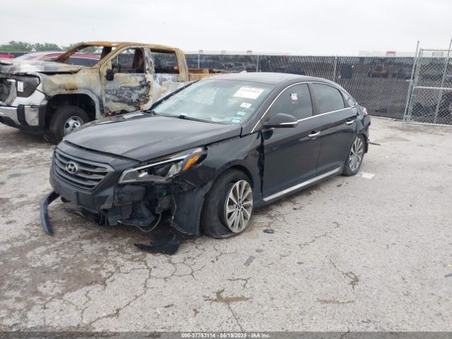 5NPE34AF8GH302236 Hyundai Sonata Sport