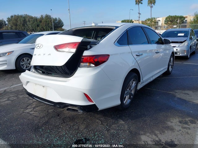 Hyundai SONATA SEL 2019 5NPE34AFXKH821135 Image 4