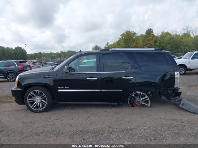 2013 CADILLAC ESCALADE PREMIUM VIN: 1GYS4CEF0DR231987