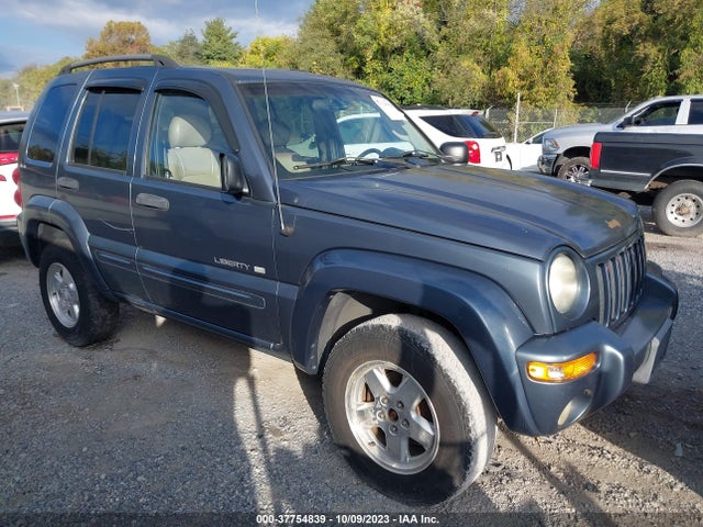 2002 JEEP LIBERTY 1J8GL58K12W245441 Photo 0