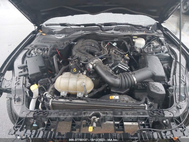 1FA6P8AM6G5316804 Ford Mustang V6