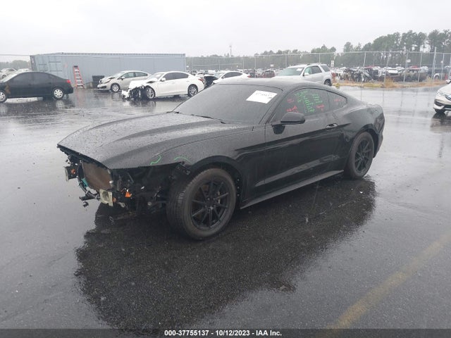 1FA6P8AM6G5316804 Ford Mustang V6