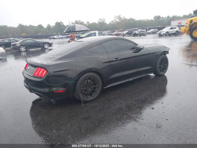 1FA6P8AM6G5316804 Ford Mustang V6