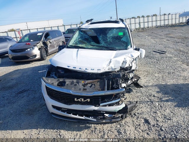 KIA Telluride Sx 2022 5XYP54HC7NG204365 Image 12
