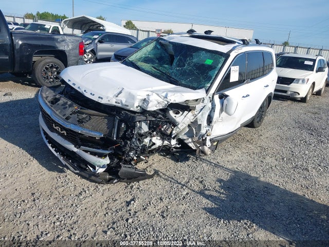 KIA Telluride Sx 2022 5XYP54HC7NG204365 Image 2