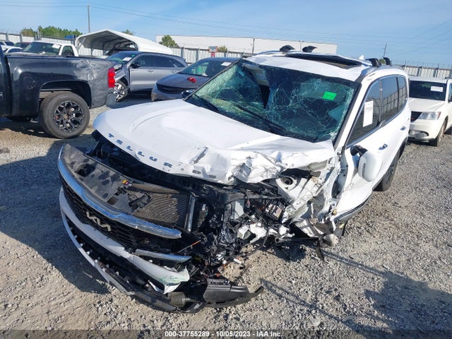 KIA Telluride Sx 2022 5XYP54HC7NG204365 Image 6
