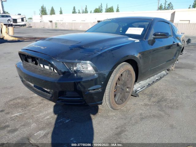 1ZVBP8AM4E5275544 Ford Mustang V6