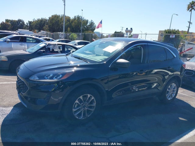 Ford ESCAPE SE 2022 1FMCU9G64NUC02397 Image 14