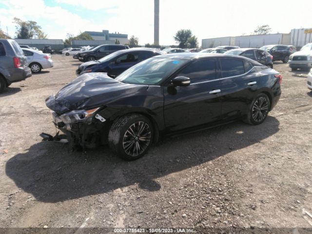 1N4AA6AP4HC375437 Nissan Maxima Platinum