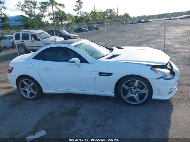 WDDPK4HA6FF109443 Mercedes-Benz Slk-class Slk 250