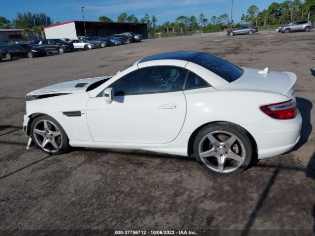 WDDPK4HA6FF109443 Mercedes-Benz Slk-class Slk 250