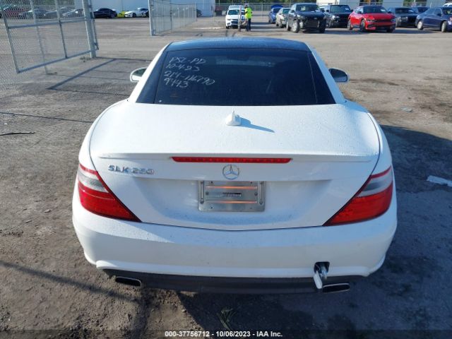 WDDPK4HA6FF109443 Mercedes-Benz Slk-class Slk 250