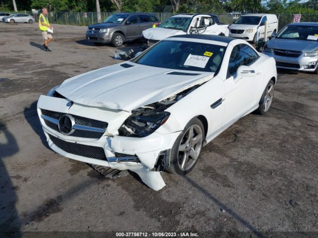 WDDPK4HA6FF109443 Mercedes-Benz Slk-class Slk 250
