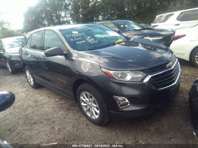 Chevrolet EQUINOX LS 2019 3GNAXHEV3KS628270 Image 1