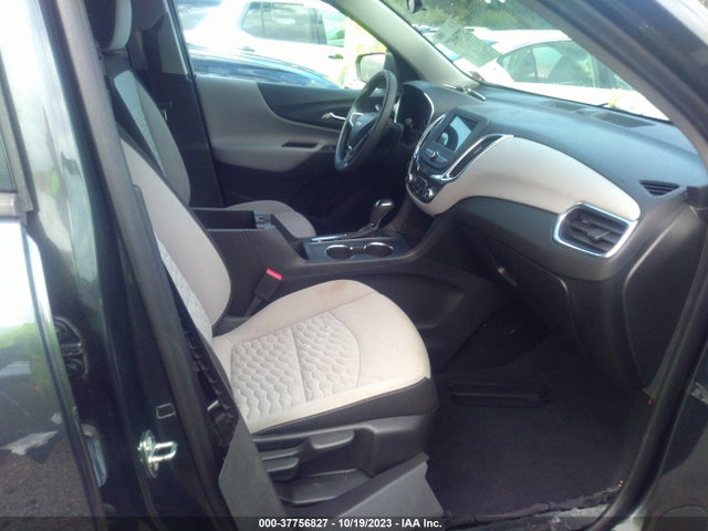 Chevrolet EQUINOX LS 2019 3GNAXHEV3KS628270 Image 5