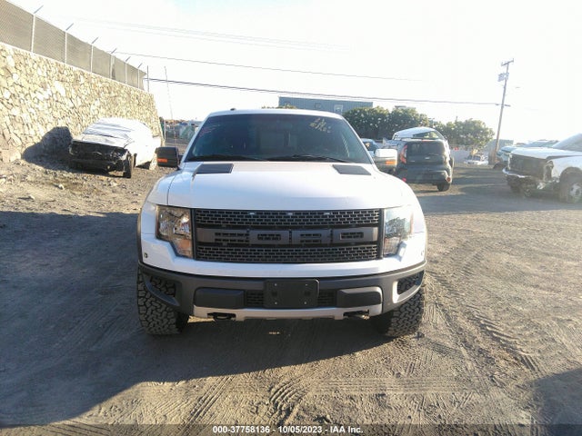 2010 FORD F-150 SVT RAPTOR VIN: 1FTEX1EV1AFA01295