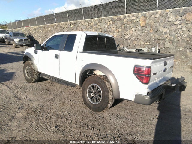 2010 FORD F-150 SVT RAPTOR VIN: 1FTEX1EV1AFA01295