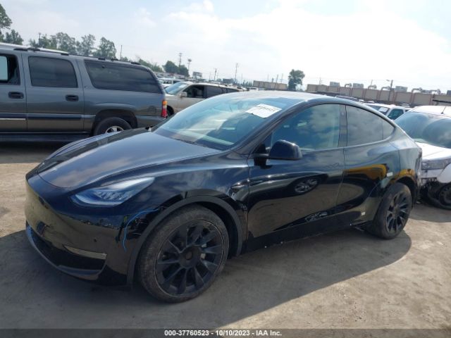 5YJYGDEE8MF084313 Tesla Model Y Long Range