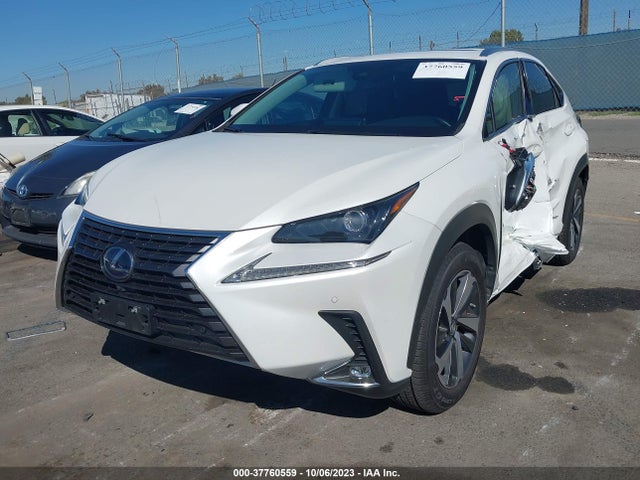 JTJGJRDZ4M2158843 Lexus Nx Nx 300h