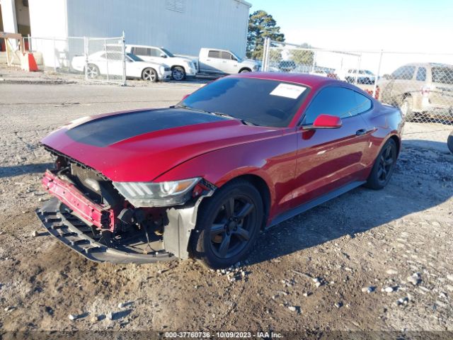 1FA6P8AM0F5336190 Ford Mustang V6