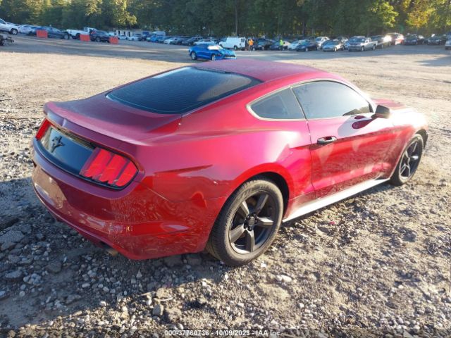 1FA6P8AM0F5336190 Ford Mustang V6