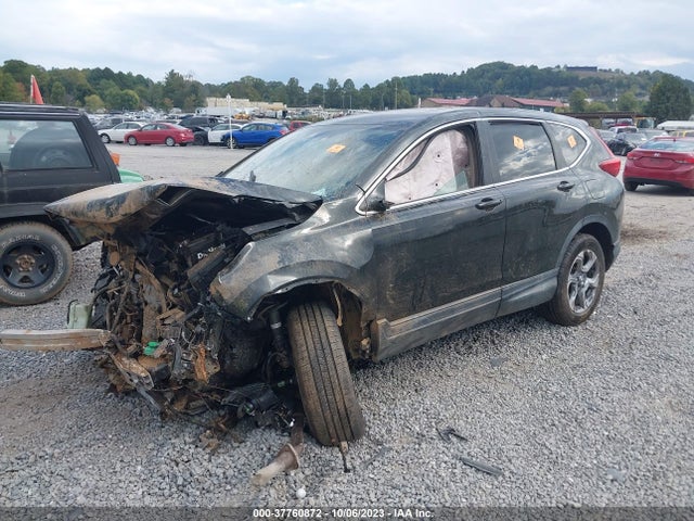 Honda CR-V EX 2017 5J6RW2H51HL009036 Image 2