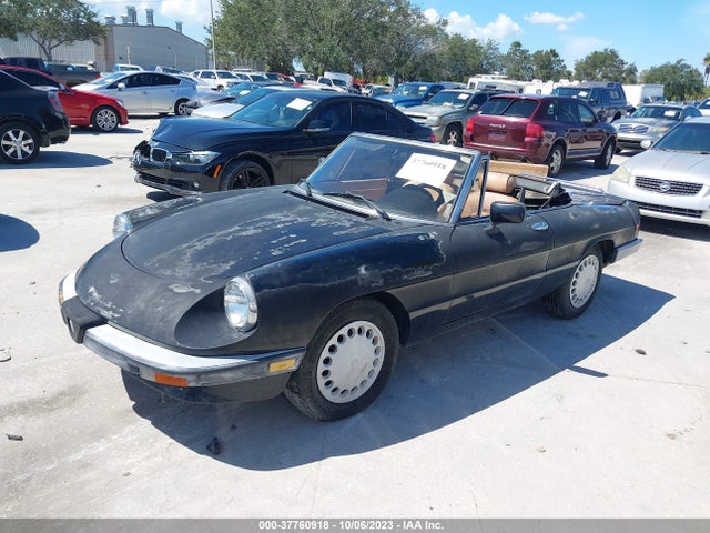 1990 ALFA ROMEO SPIDER GRADUATE VIN: ZARBA12C9L6002386