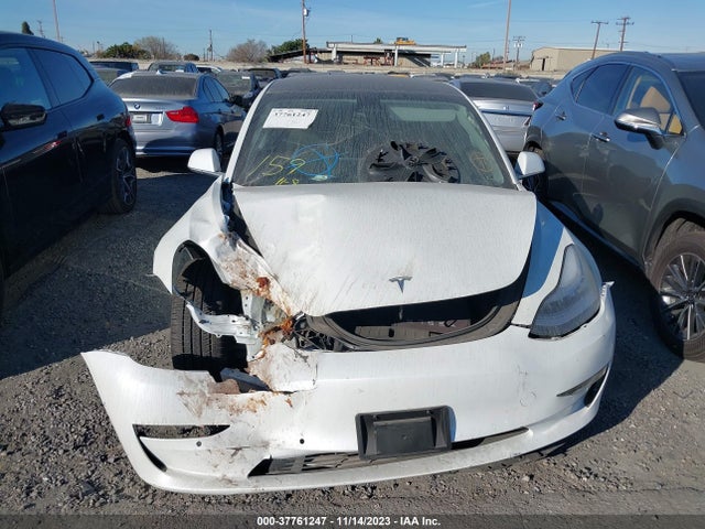 Tesla Model 3 Long Range/performance 2019 5YJ3E1EBXKF511041 Image 13