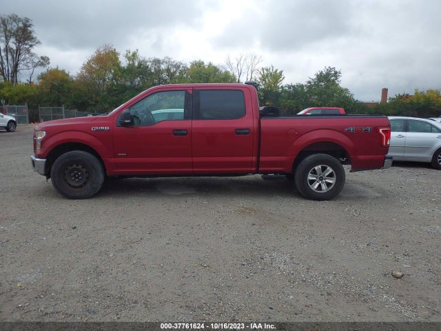 2015 FORD F-150 XLT VIN: 1FTFW1EG1FFC37140