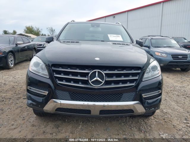 4JGDA5HBXFA486669 Mercedes-Benz M-class Ml 350