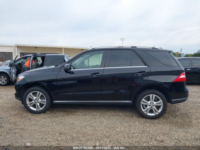 4JGDA5HBXFA486669 Mercedes-Benz M-class Ml 350