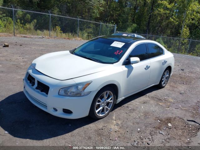 1N4AA5AP8EC909741 Nissan Maxima 3.5 Sv W/premium Pkg