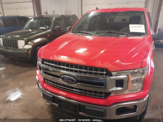 1FTEW1EBXKKD12600 Ford F-150 Xl/xlt