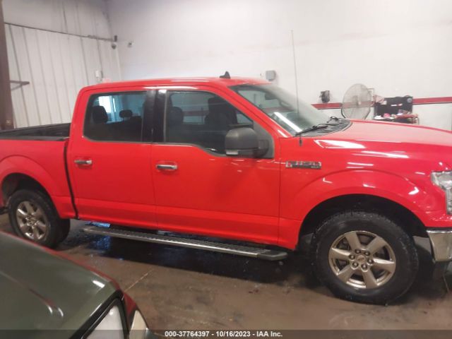 1FTEW1EBXKKD12600 Ford F-150 Xl/xlt
