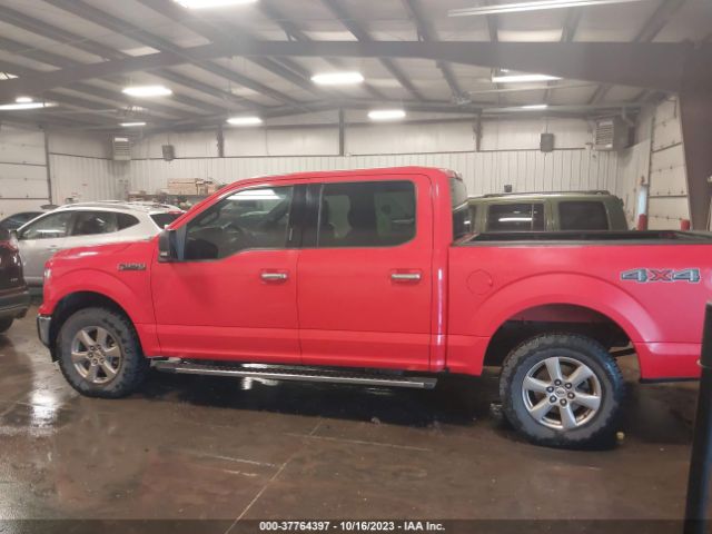 1FTEW1EBXKKD12600 Ford F-150 Xl/xlt