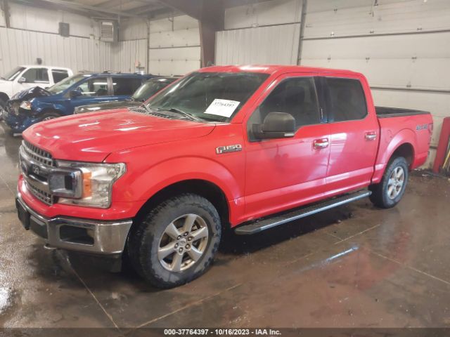 1FTEW1EBXKKD12600 Ford F-150 Xl/xlt