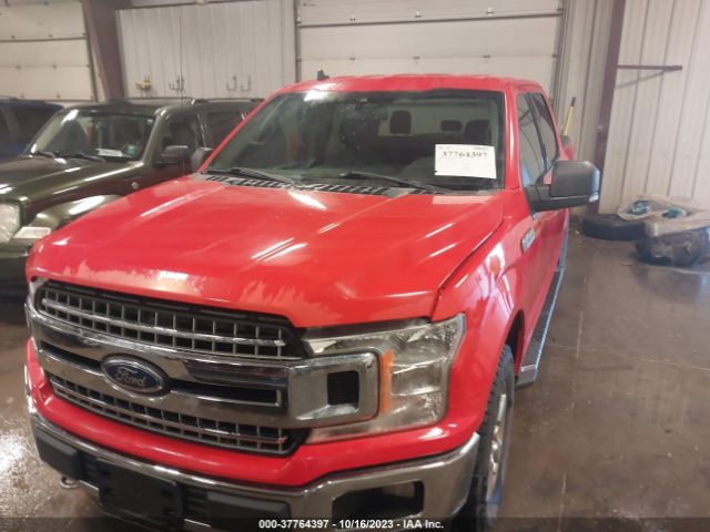 1FTEW1EBXKKD12600 Ford F-150 Xl/xlt