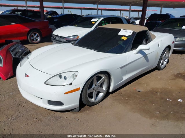 2007 CHEVROLET CORVETTE VIN: 1G1YY36U875120576